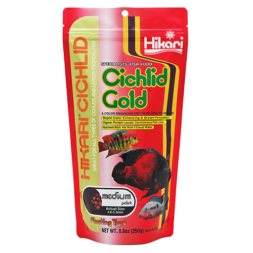 Hikari Cichlid Gold