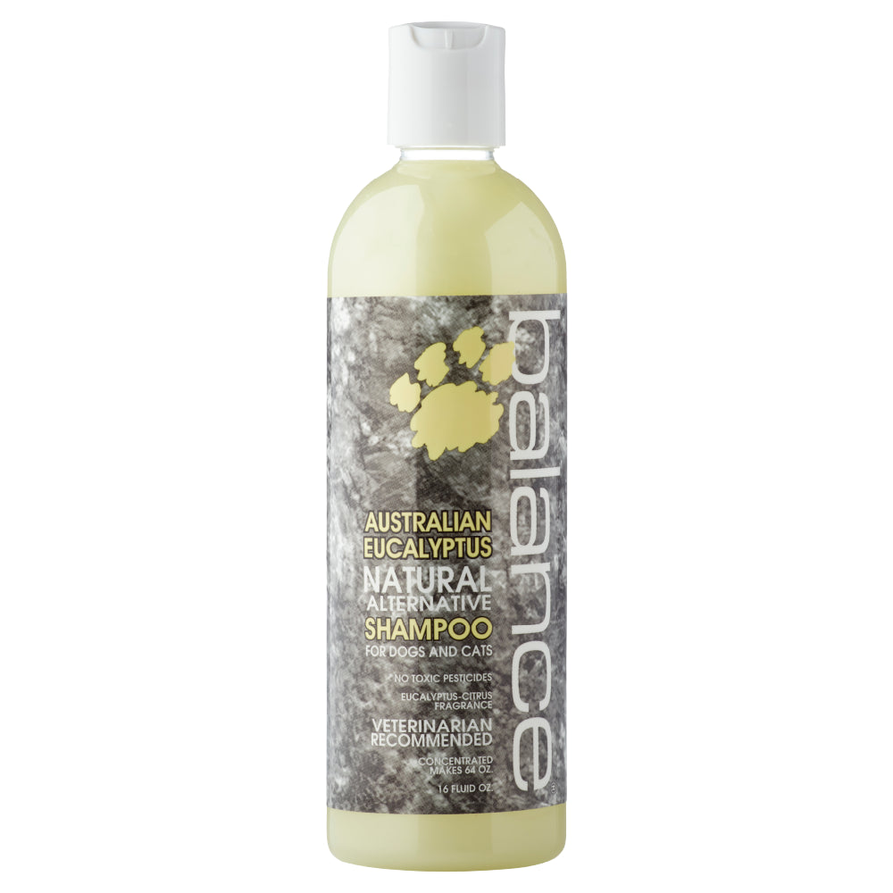 Balance Eucalyptus Shampoo