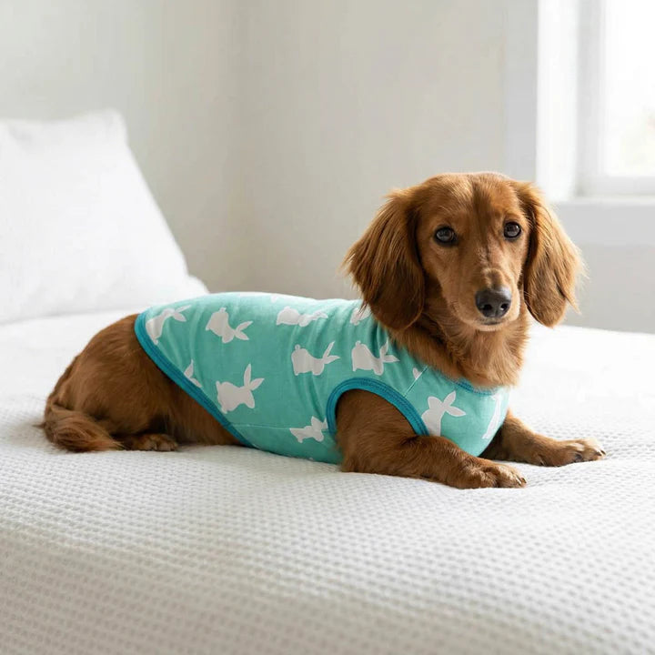 Easter Bunny Shirt