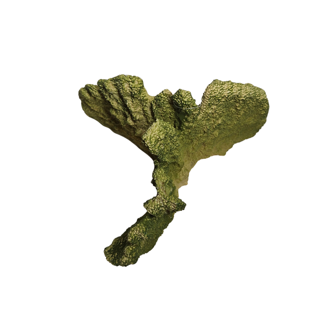 Coral Ornament
