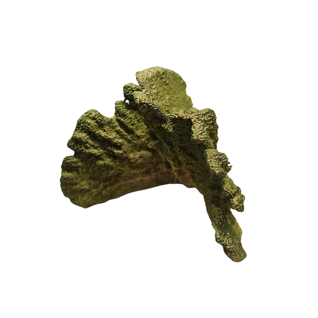 Coral Ornament