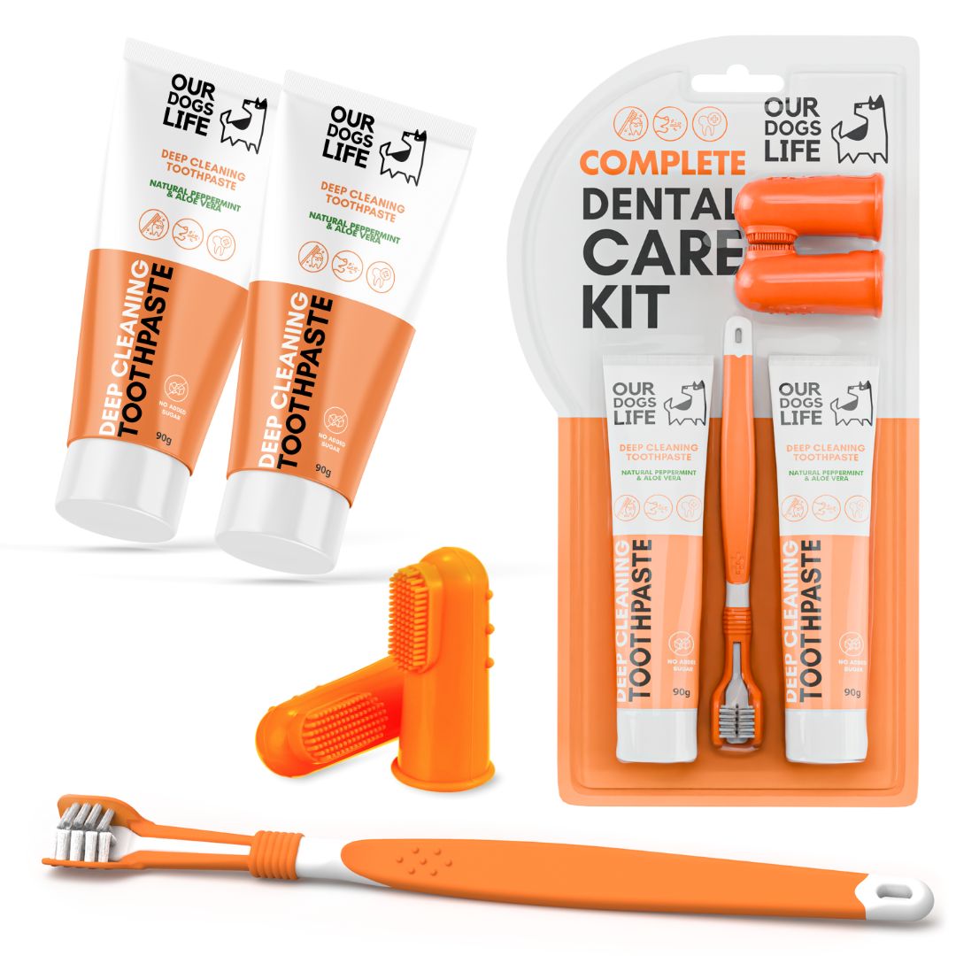 Dogslife Dog Toothpaste and Toothbrush Set