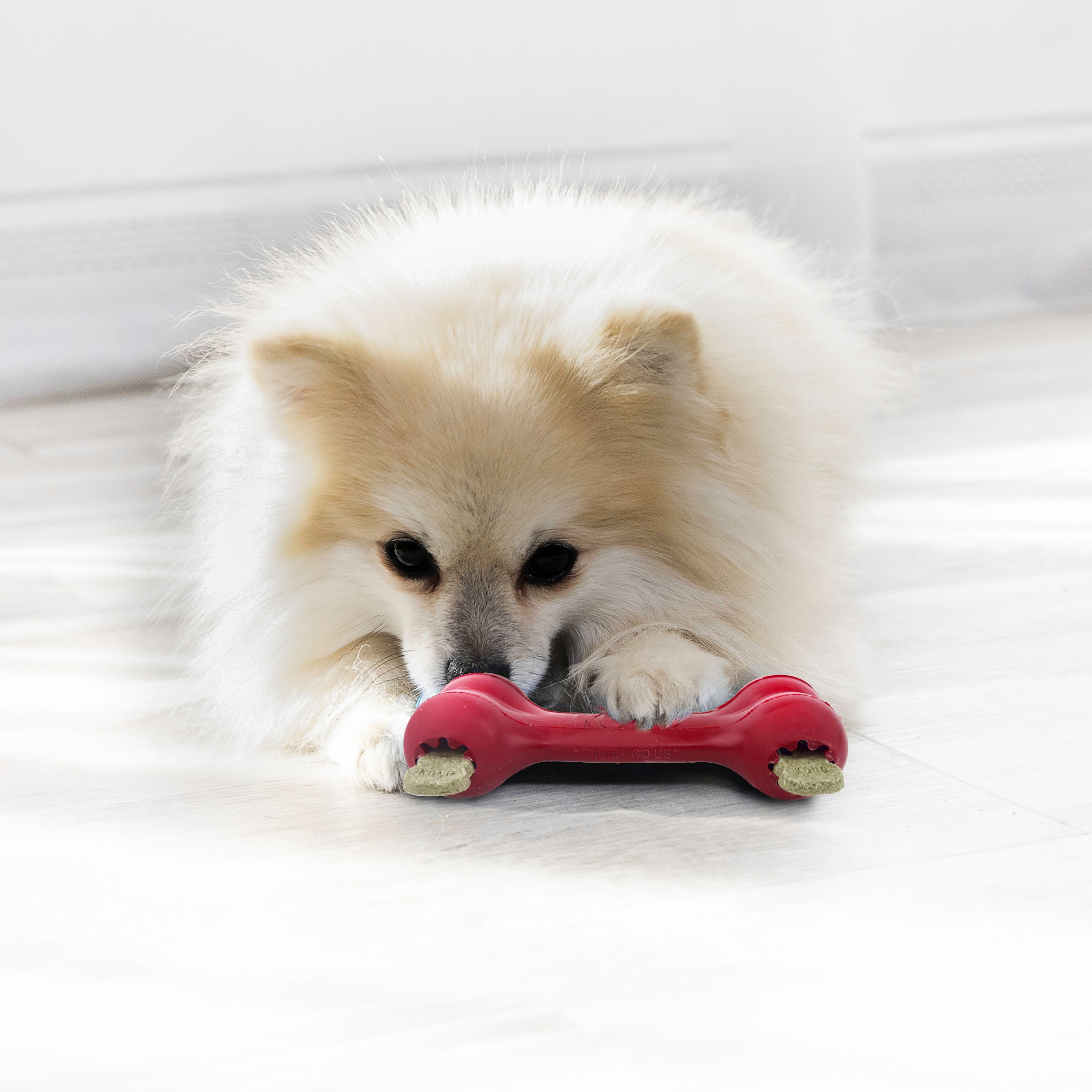 Kong Goodie Bone