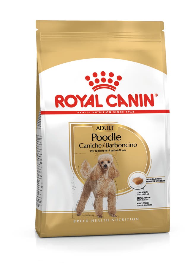 Royal Canin Poodle Adult