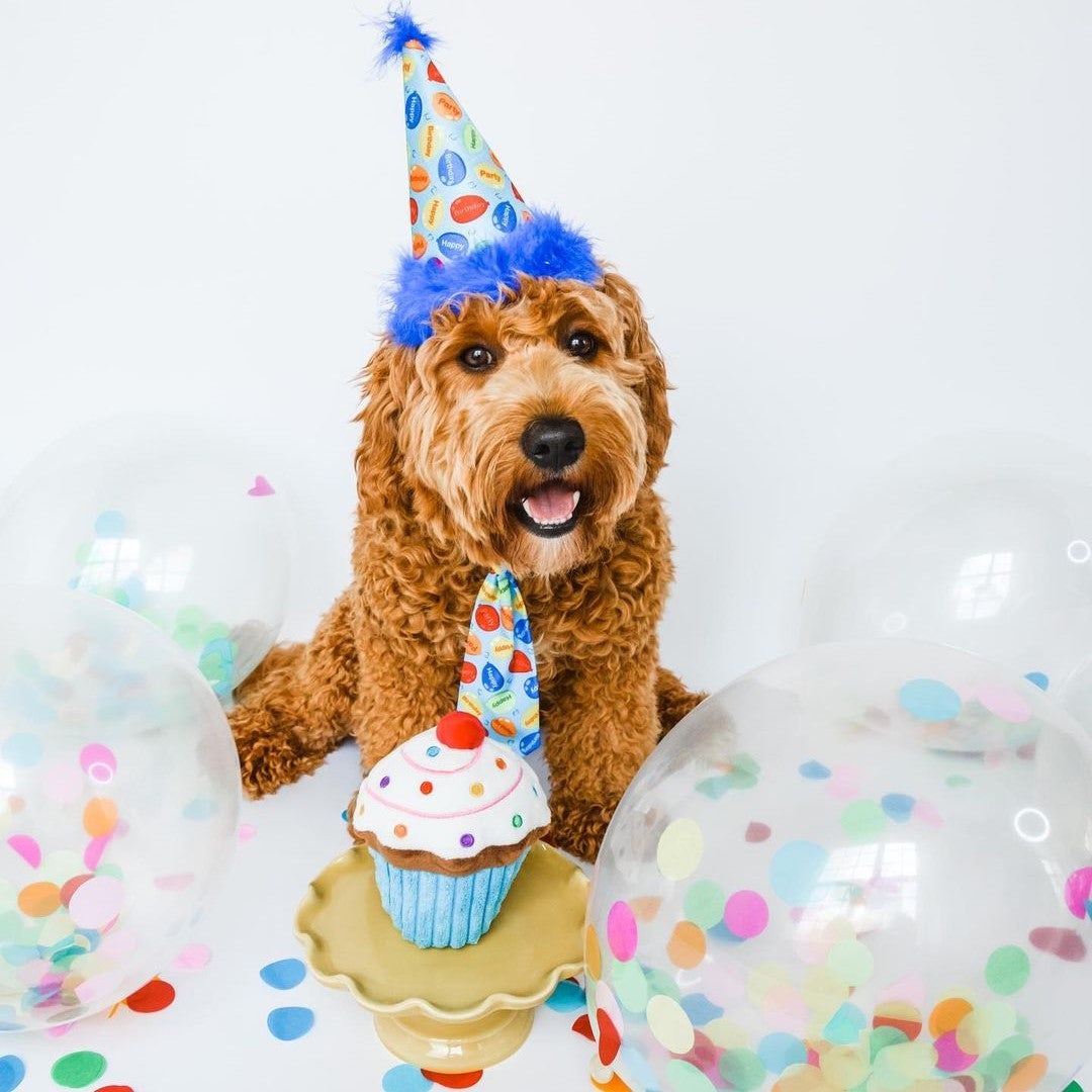 Huxley & Kent Party Hats with SnugFit®