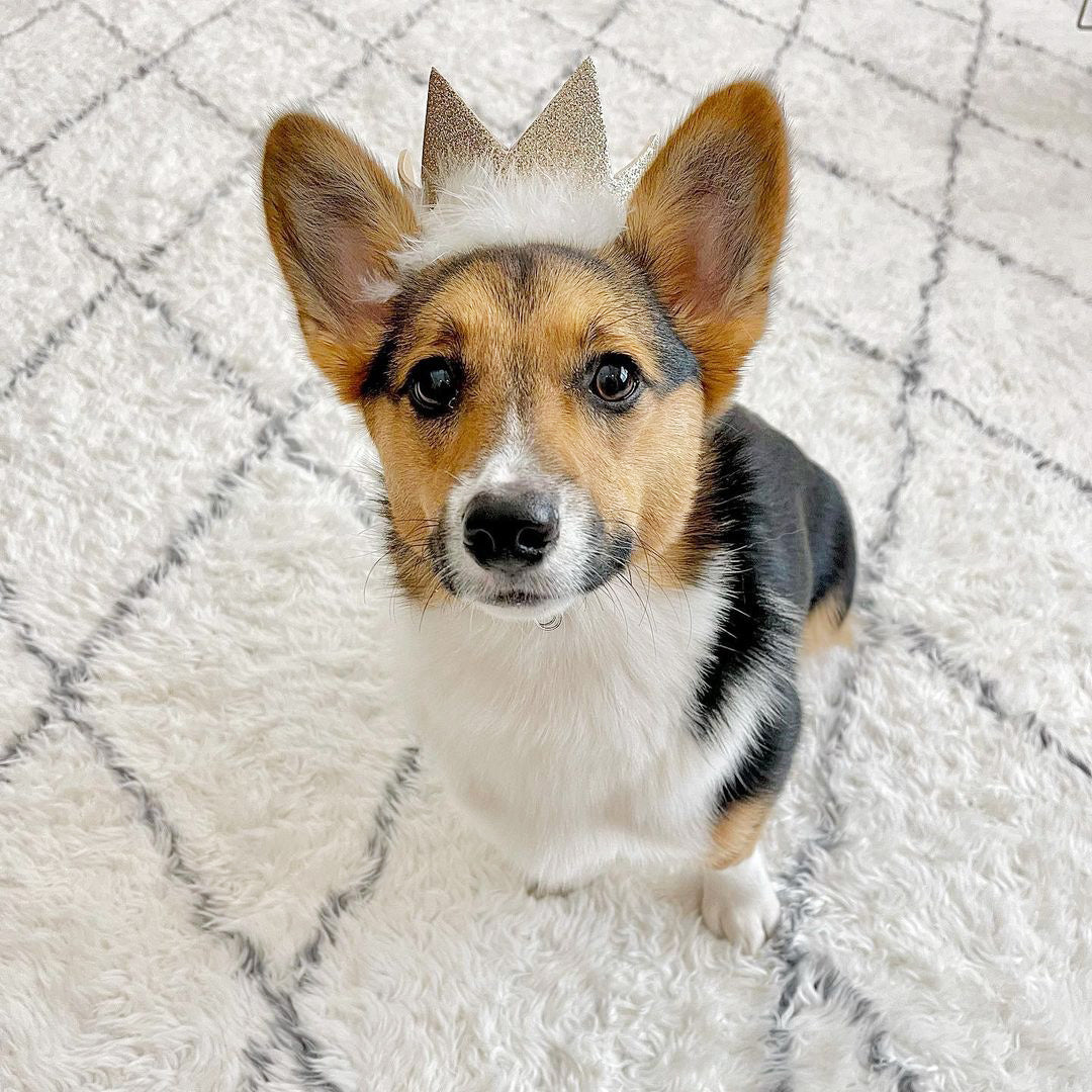Huxley & Kent Party Crowns with SnugFit®