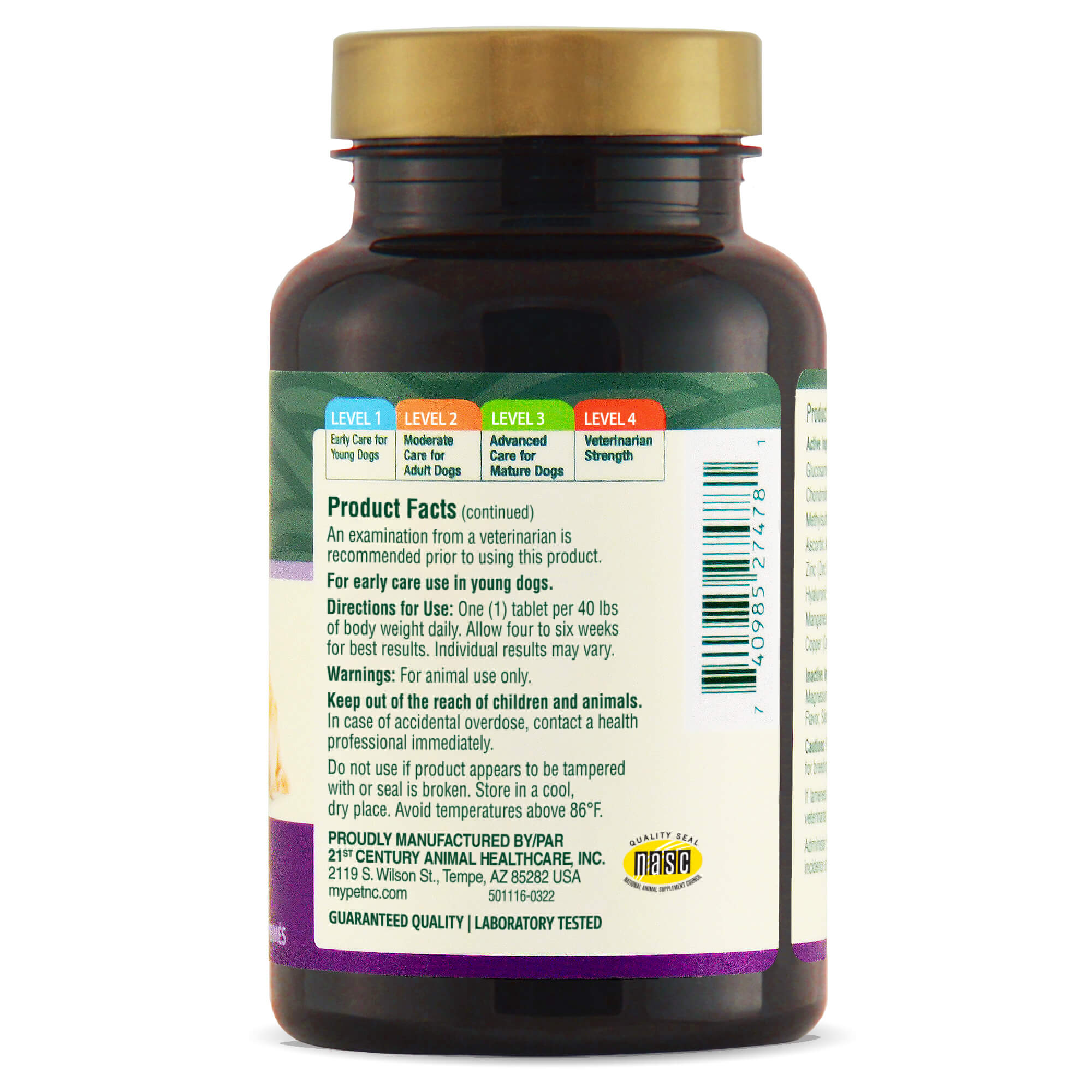 Petnc Hip & Joint Level 1