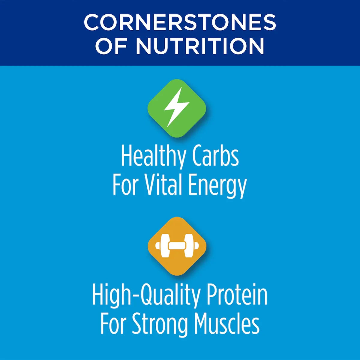 Purina® Cat Chow® Complete Dry Cat Food