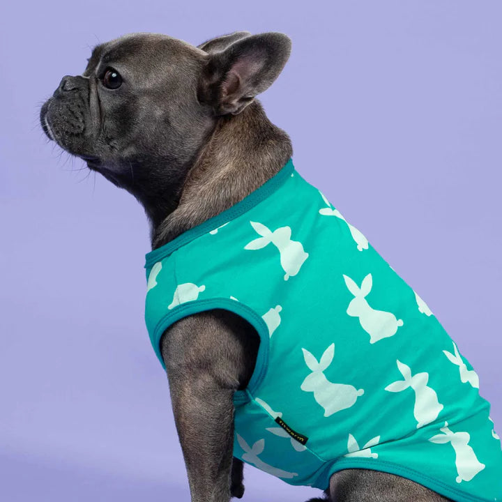 Easter Bunny Shirt