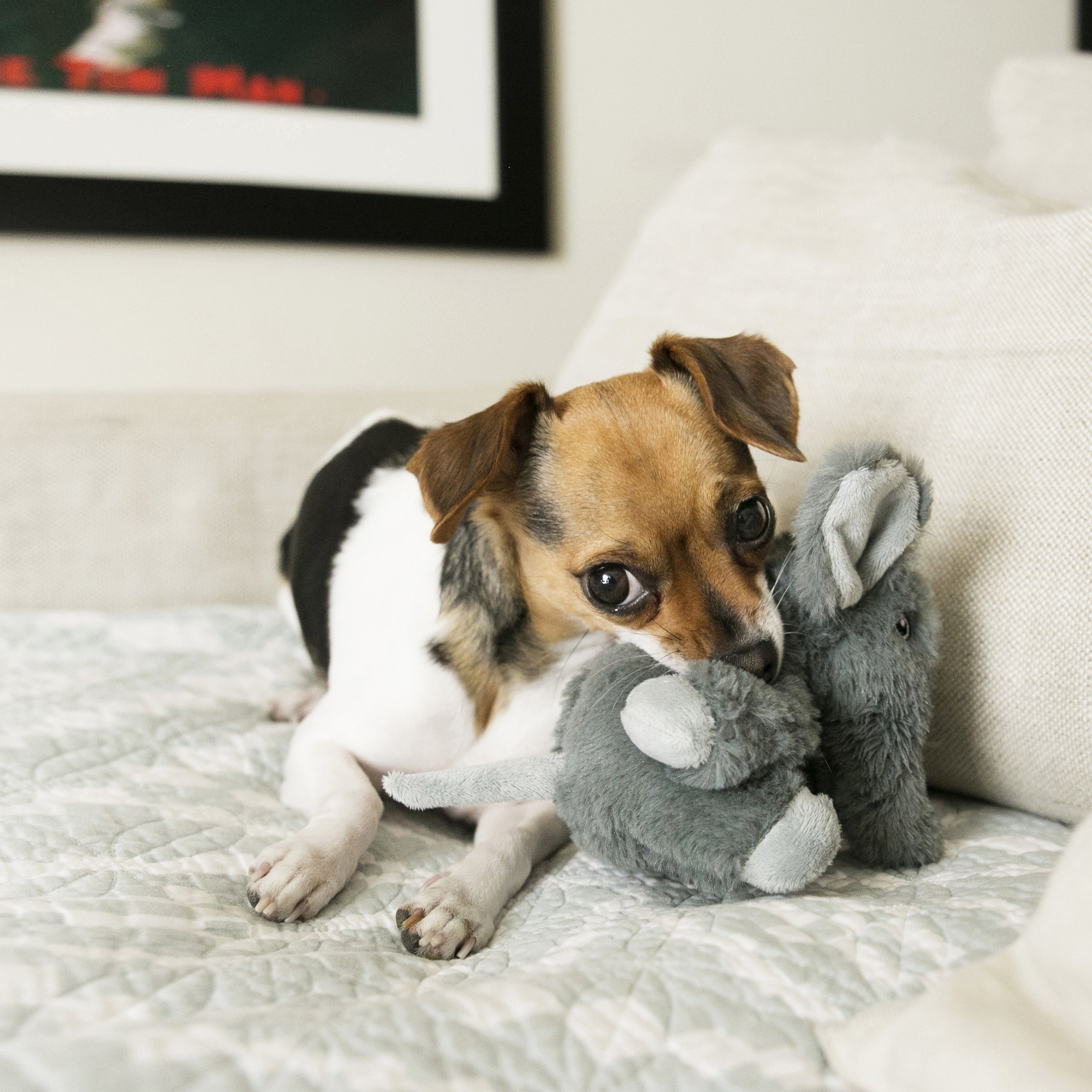 Comfort Kiddos Lion