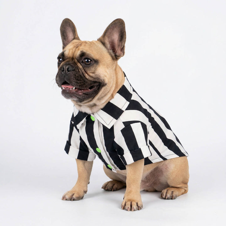 Fitwarm Spooky Striped Dog Shirt