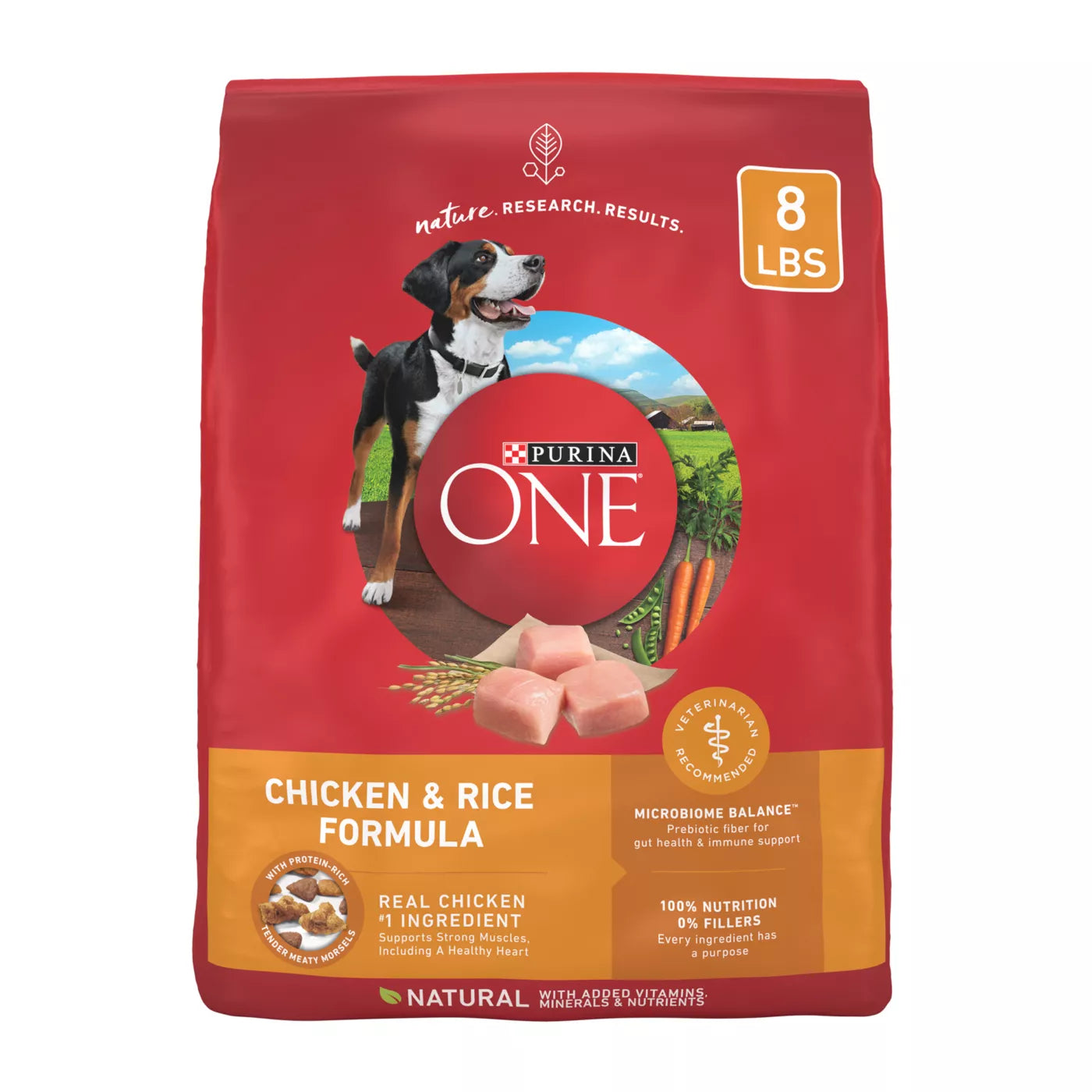 Purina ONE® SmartBlend Everyday Nutrition Adult Dog Dry Food - Chicken, High-Protein