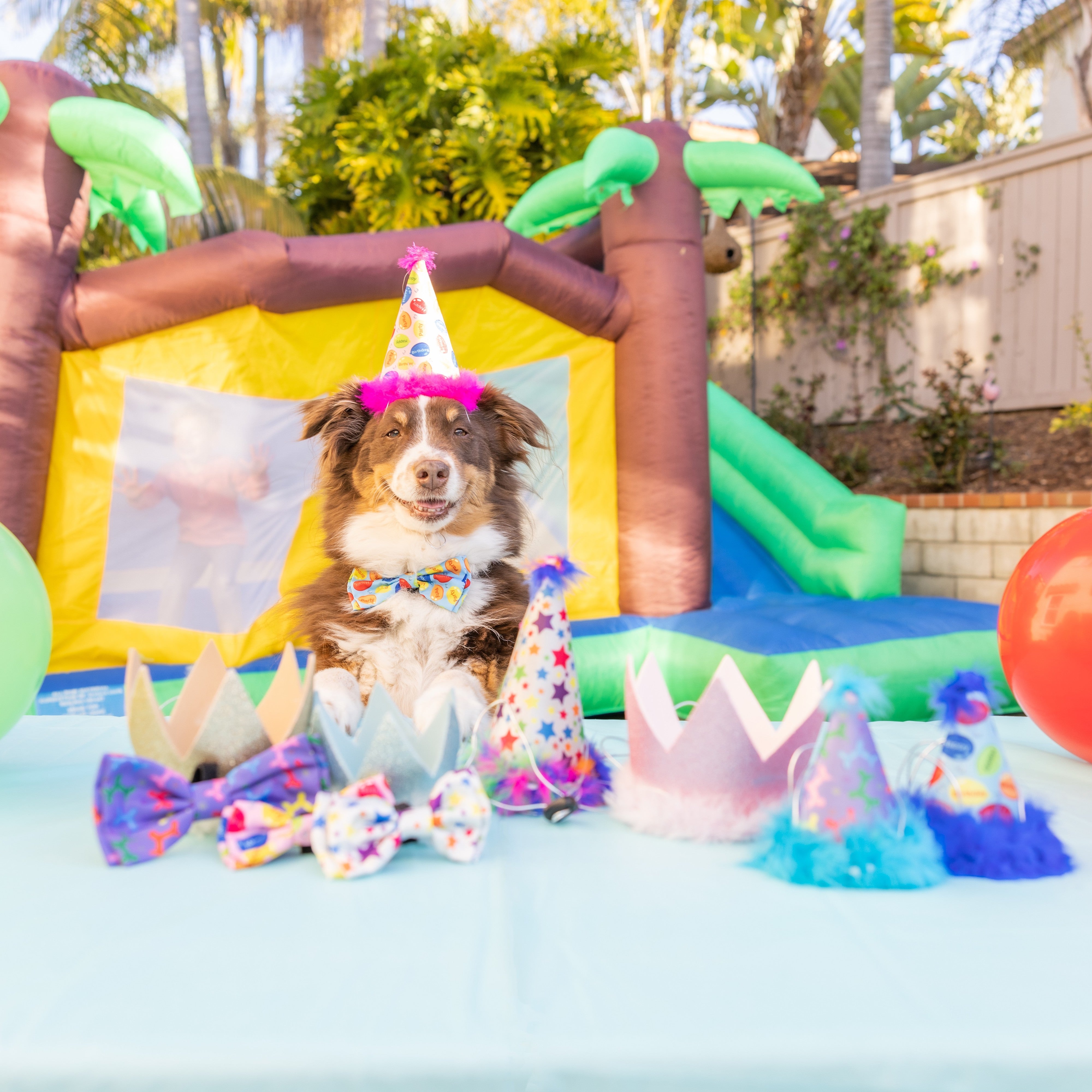 Huxley & Kent Party Hats with SnugFit®
