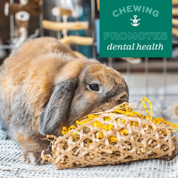Oxbow Enriched Life – Crunchy Carrot