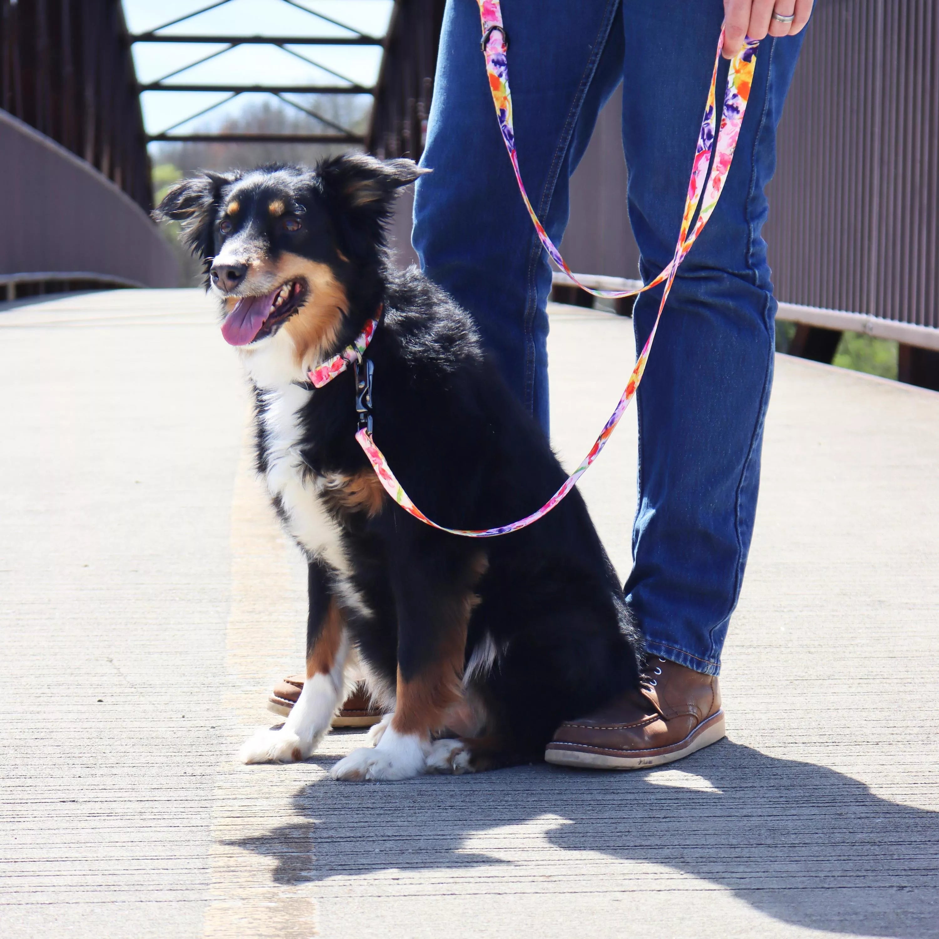 Coastal Inspire Fashion Dog Leash