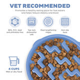 Fun Feeder Slo Bowl, Slow Feeder Dog Bowl