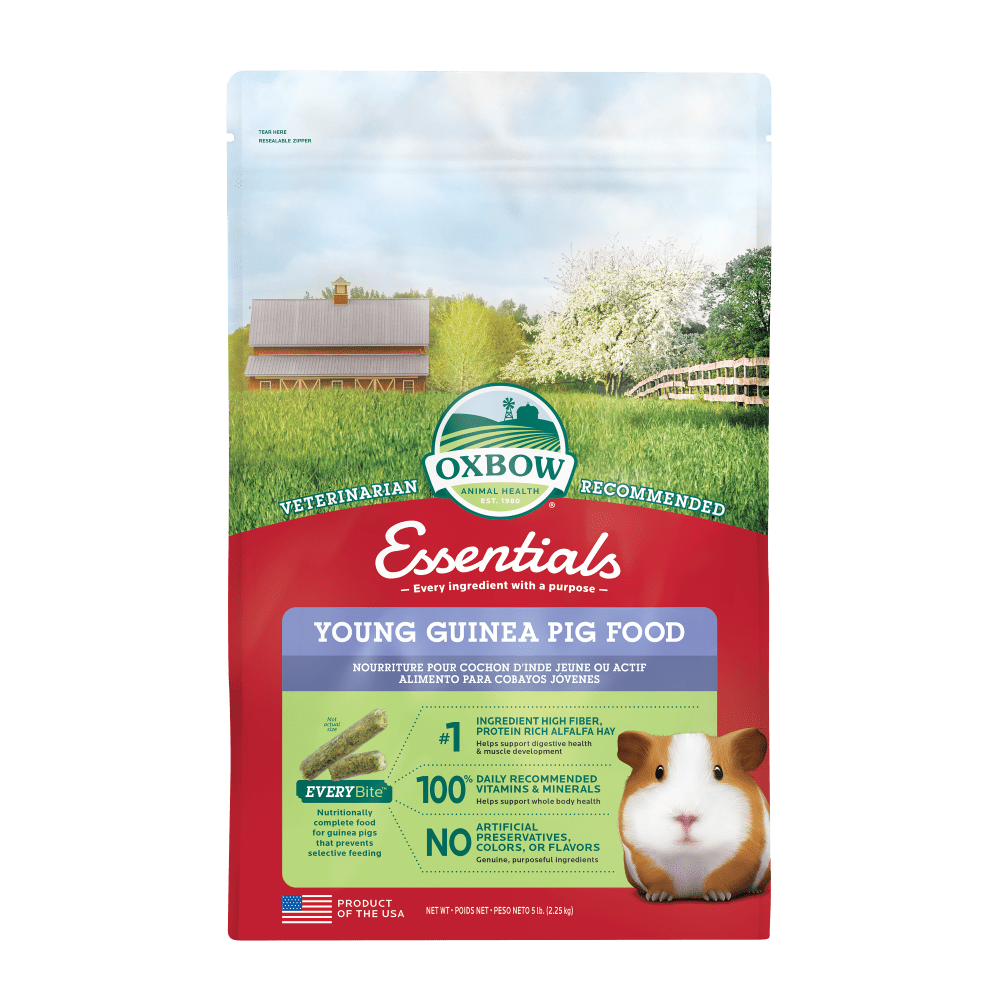 Essentials Young Guinea Pig Food