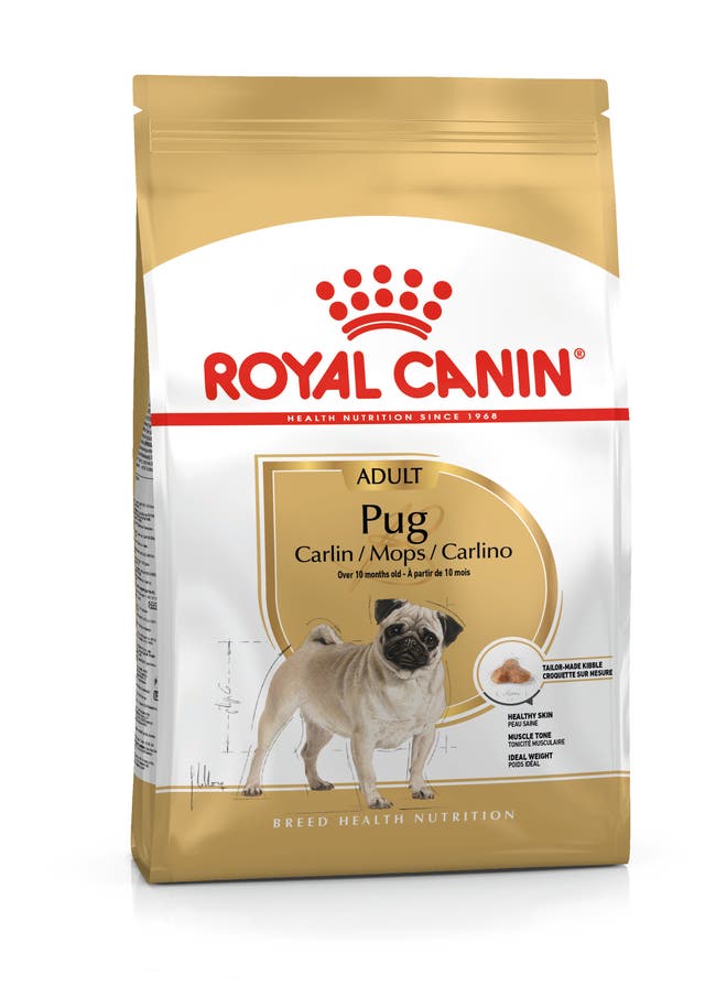 Royal Canin Pug Adult