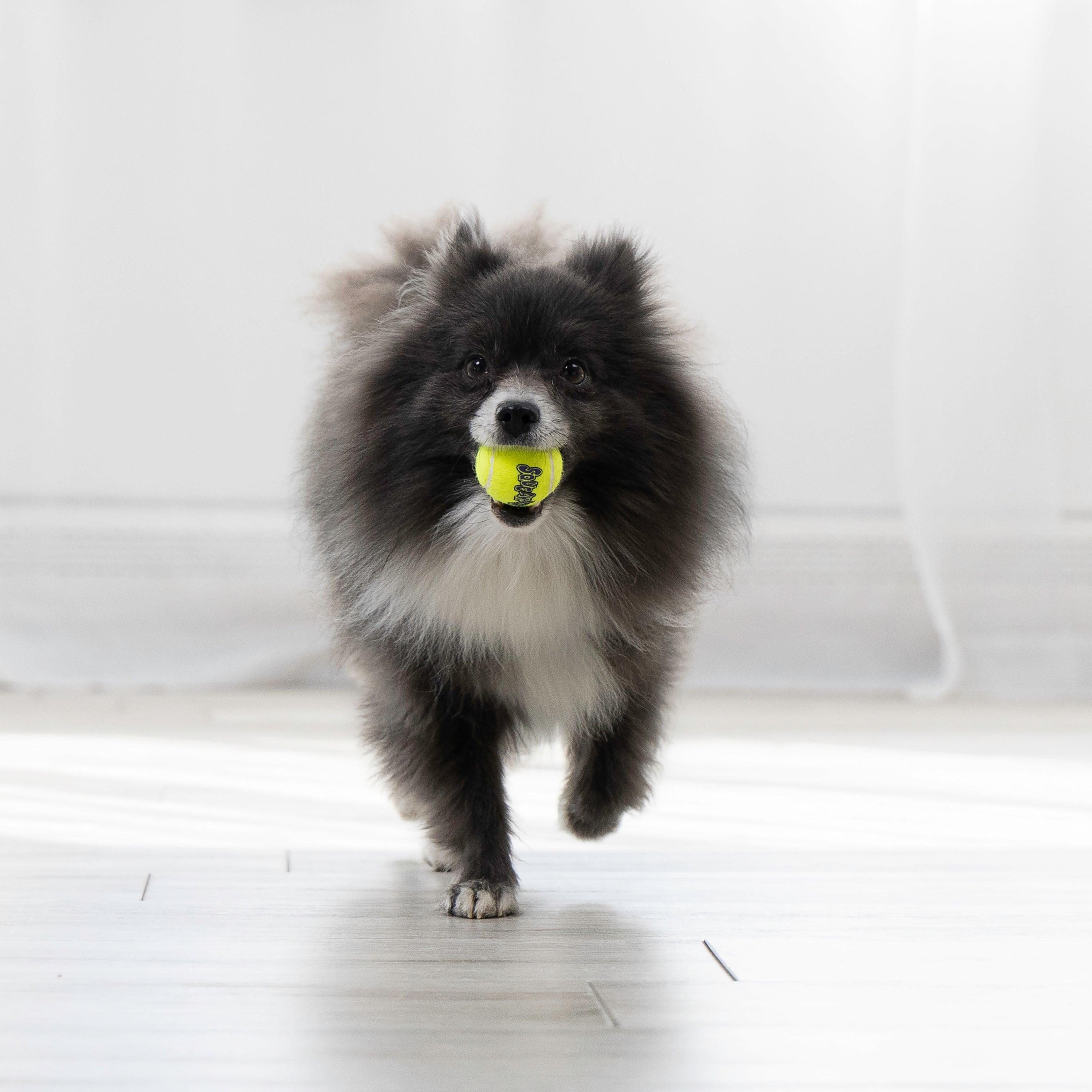 Kong SqueakAir Balls 3 Pack