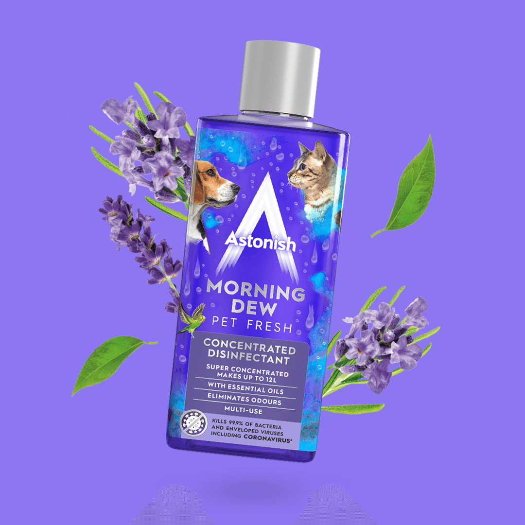 Astonish  Concentrated Disinfectant Morning Dew