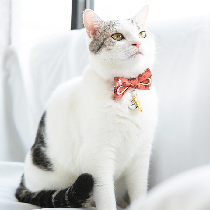 Touchcat ® Glampurr Elegant Fashion Cat Collar with large Bowtie and Bell Charm