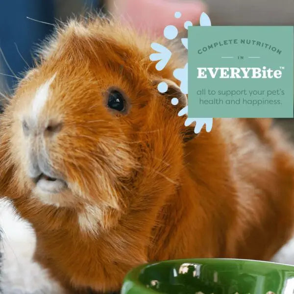 Essentials Young Guinea Pig Food