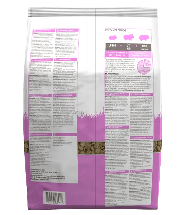 Science Selective Junior Guinea Pig