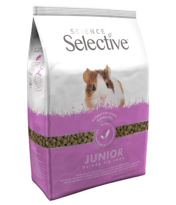 Science Selective Junior Guinea Pig