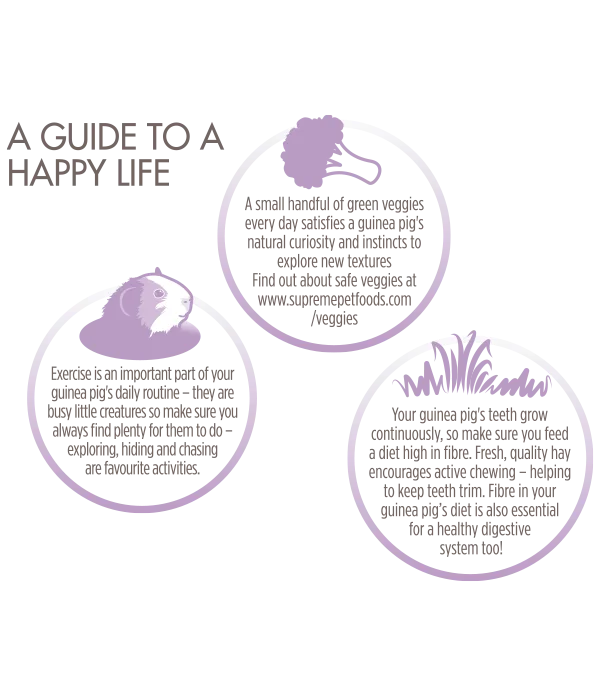 Selective Naturals Grain Free Guinea Pig Food