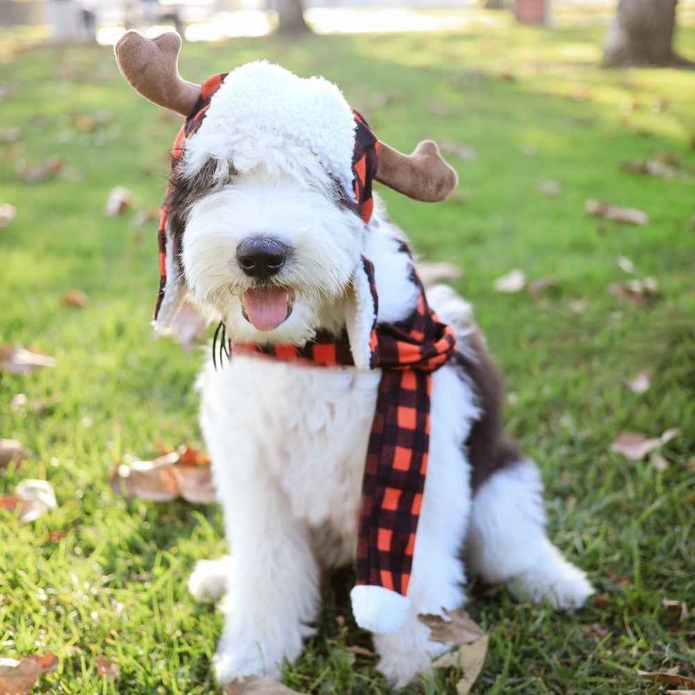 Huxley and Kent Buffalo Check Antler Hat with SnugFit®