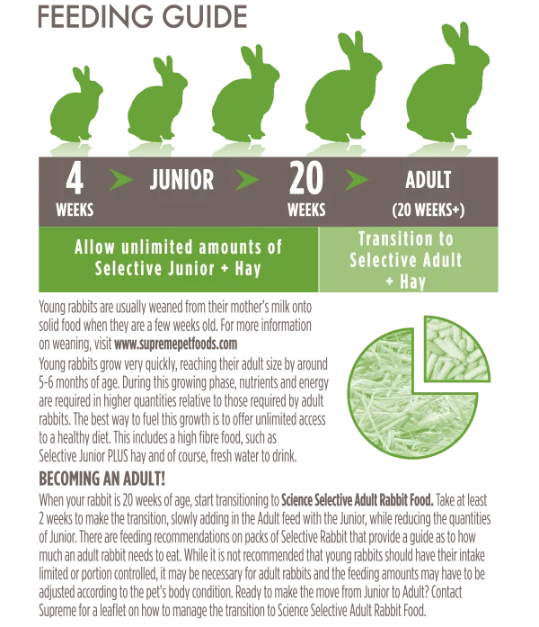 Science Selective Junior Rabbit