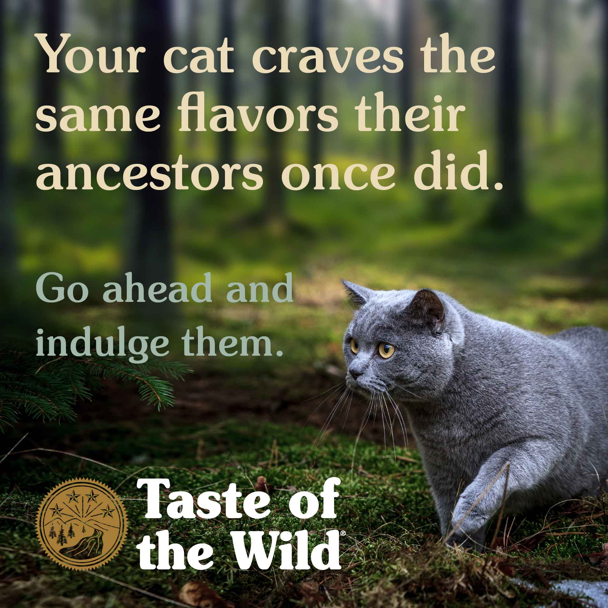 Taste of The Wild Canyon River Feline Recipe with Trout & Smoke-Flavored Salmon