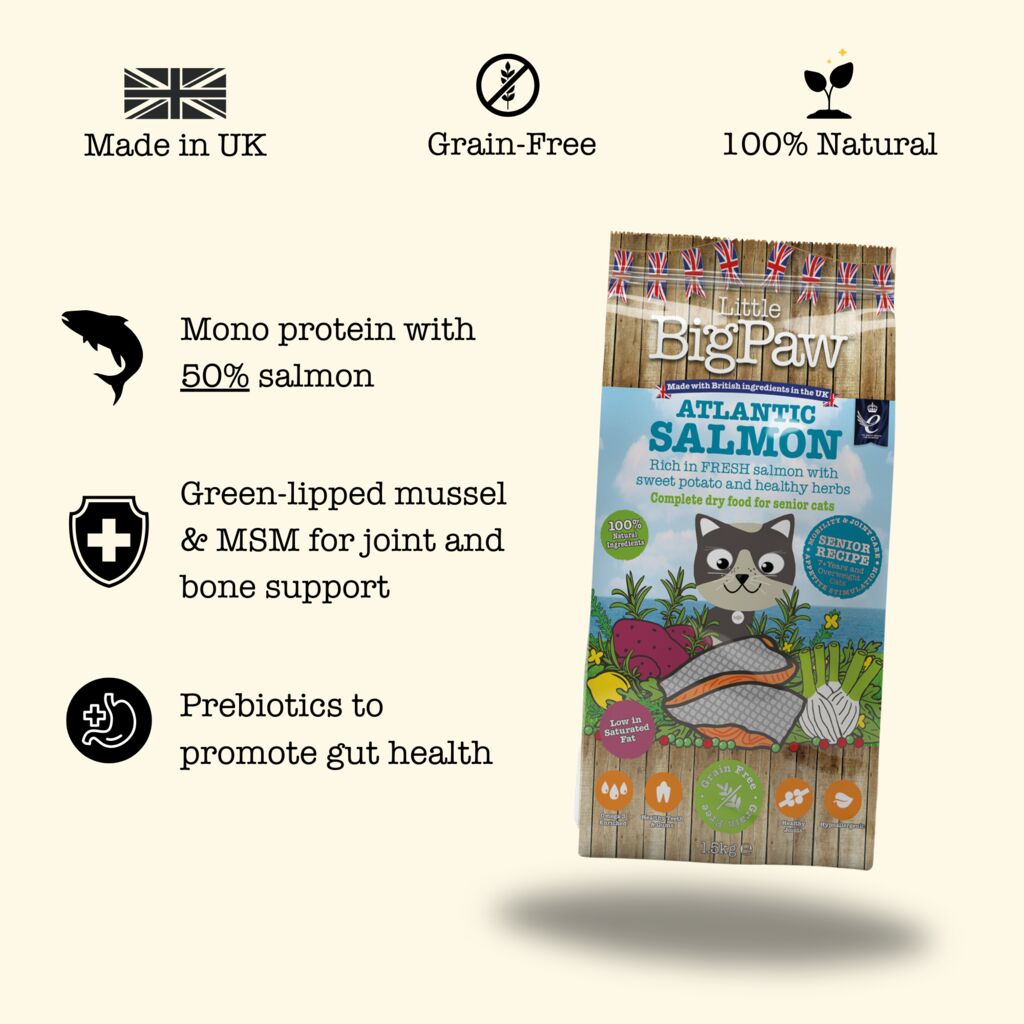 Atlantic Salmon Complete dry food for Senior Cats