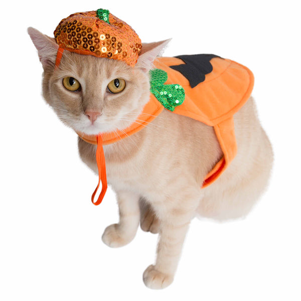 Halloween Pumpkin Dog & Cat Costume