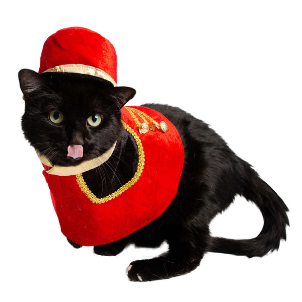 Nutcracker Soldier Dog Costume