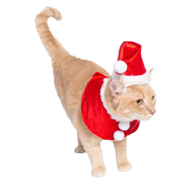 Santa Dog & Cats Costume