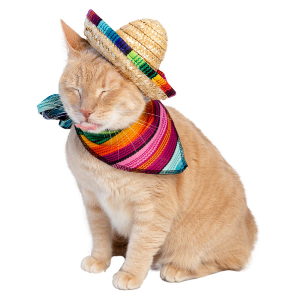 Sombrero and Serape Dog & Cat  Costume