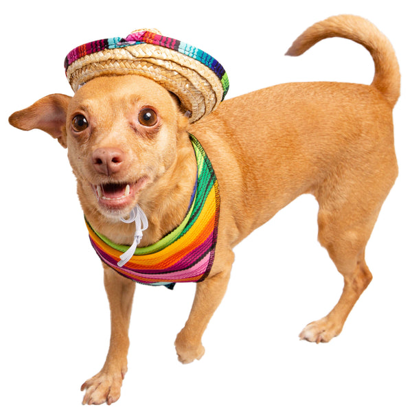 Sombrero and Serape Dog & Cat  Costume