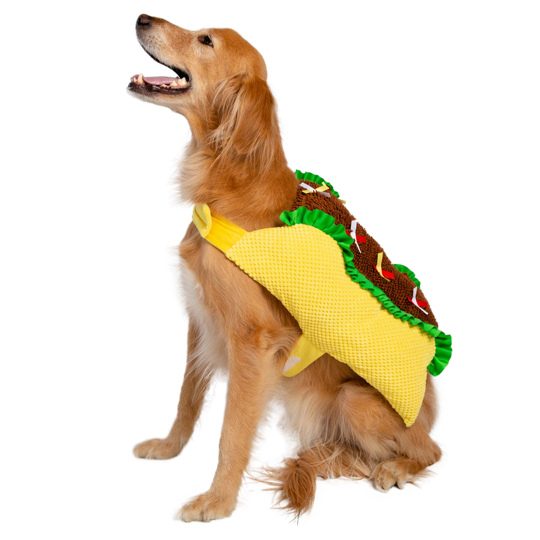 Taco Dog Costume