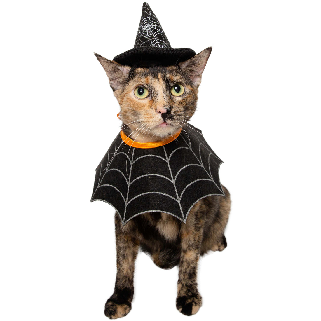 Witch Hat and Collar Set Dog & Cat  Costume