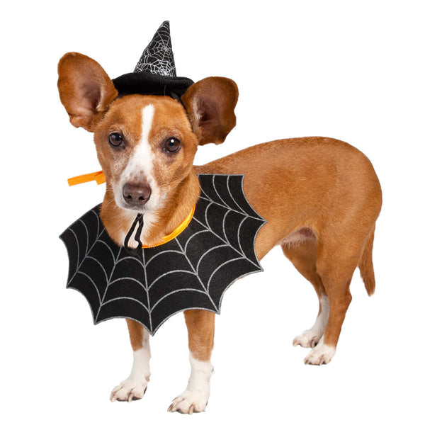 Witch Hat and Collar Set Dog & Cat  Costume