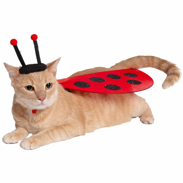 Ladybug Hat and Wings Dog & Cat  Costume