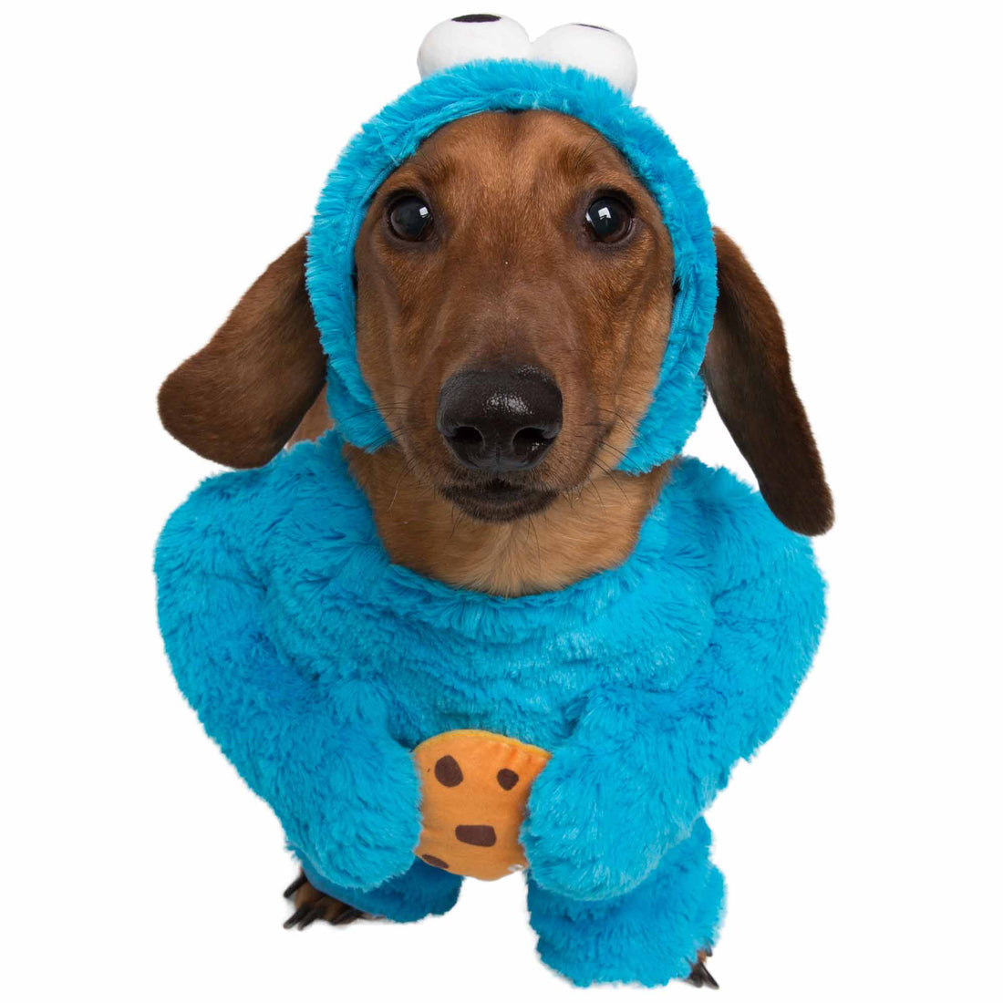 Sesame Street Cookie Monster Dog Costume