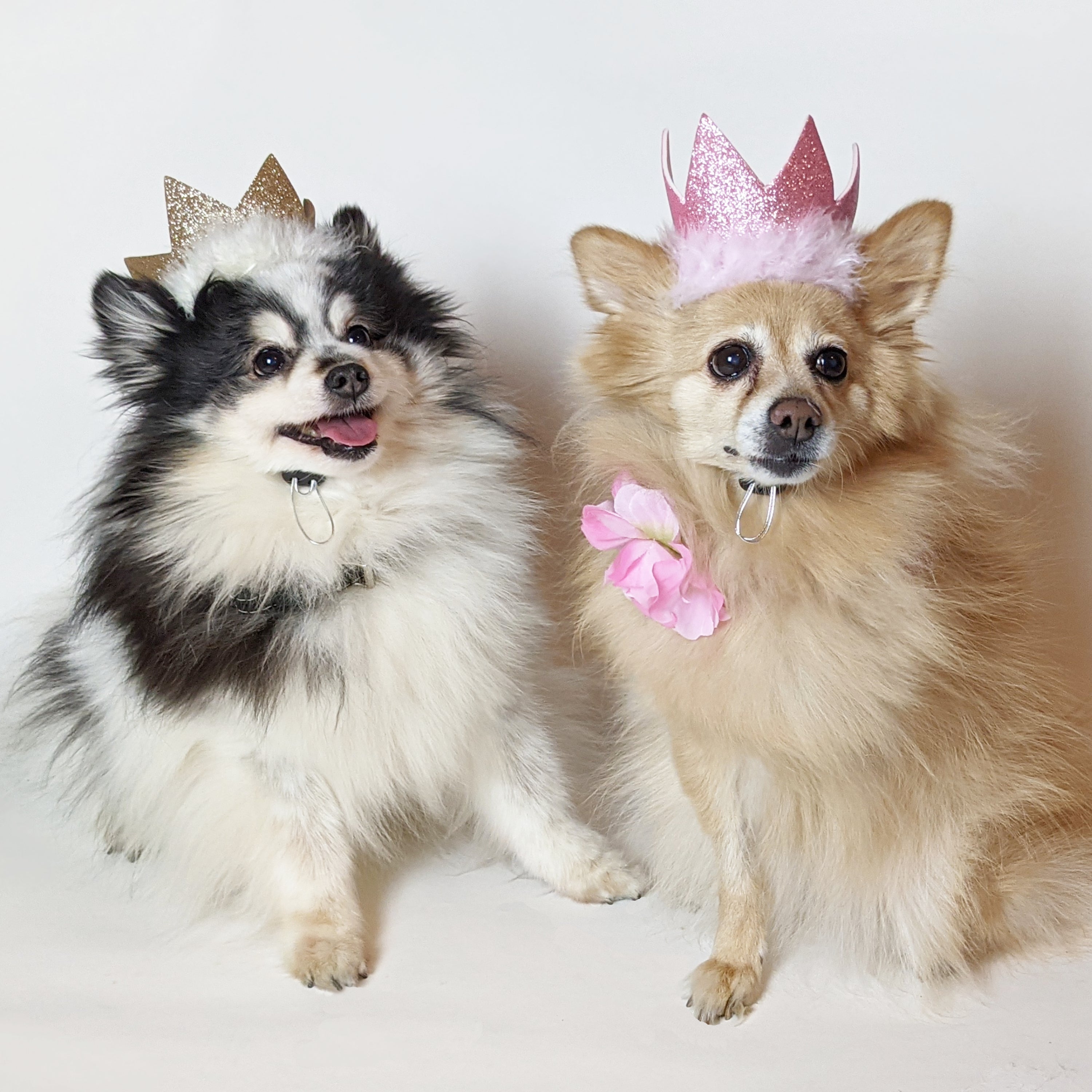Huxley & Kent Party Crowns with SnugFit®
