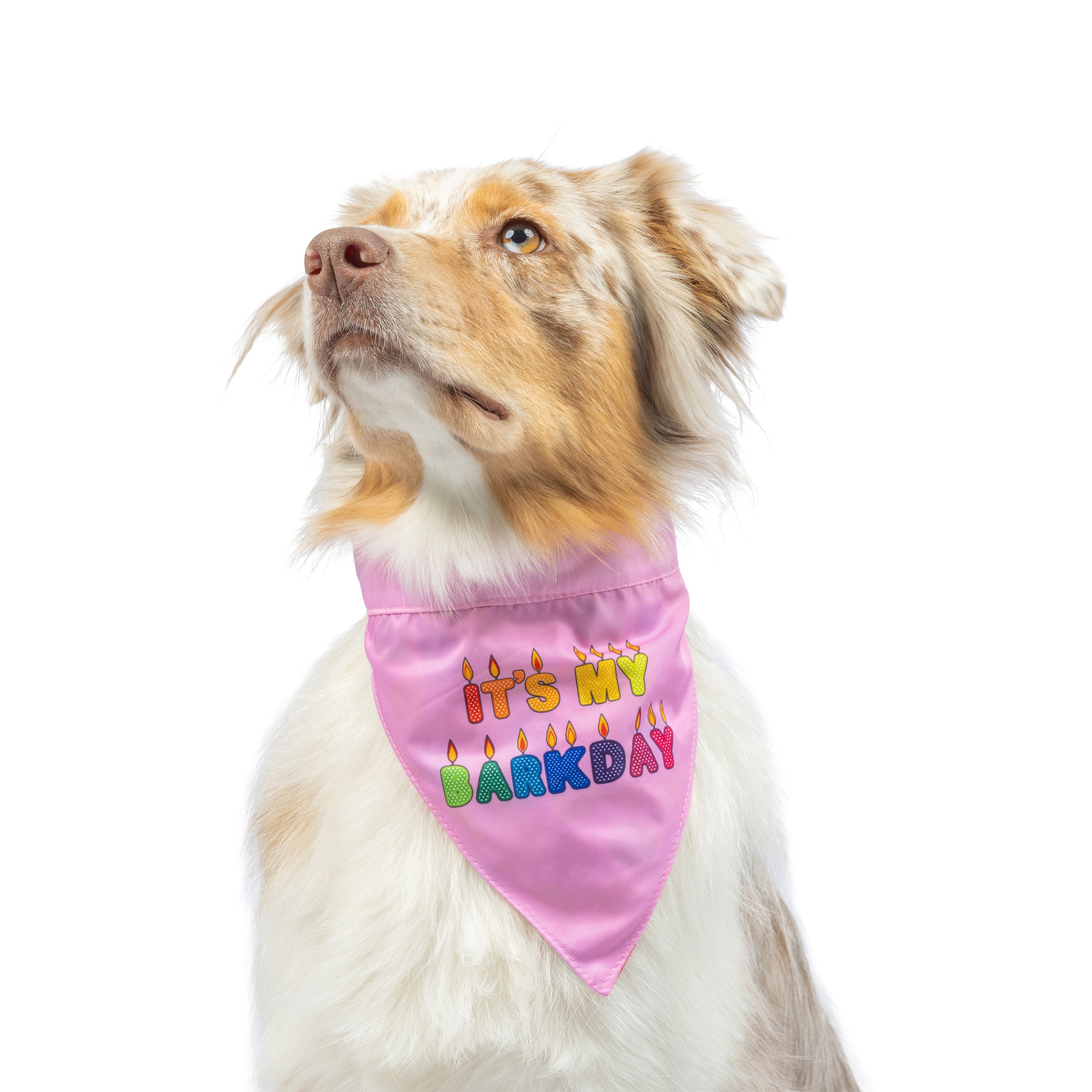 Huxley & Kent Party Time Bandana 2.0