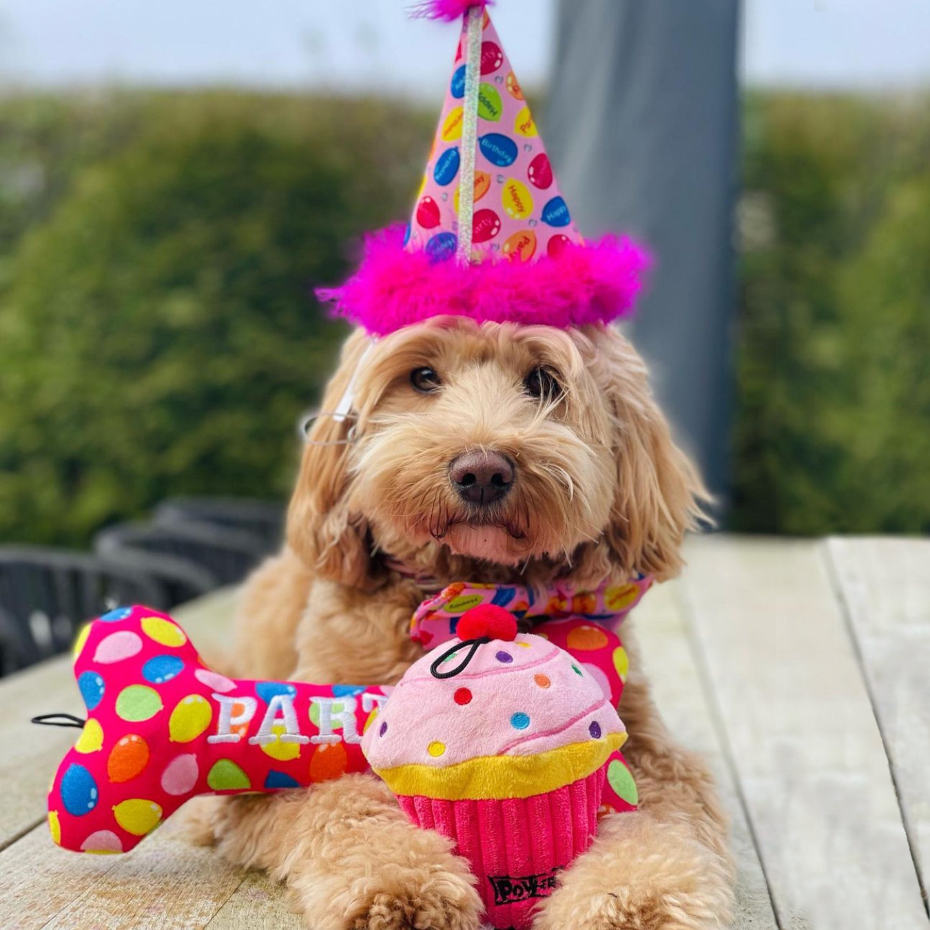Huxley & Kent Party Hats with SnugFit®