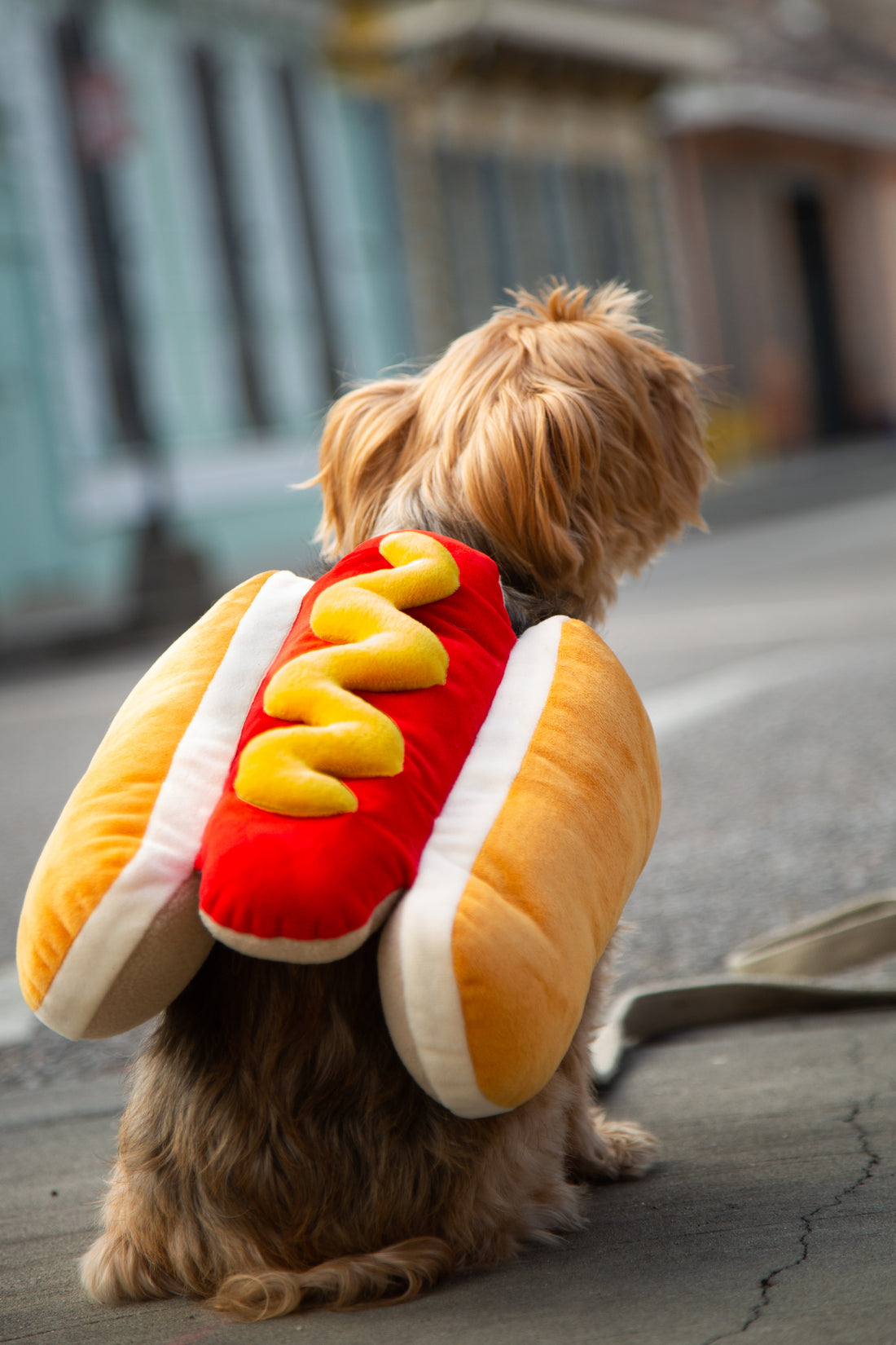 Pet Krewe Hot Dog Costume: Funny Halloween Outfit for Dogs & Cats