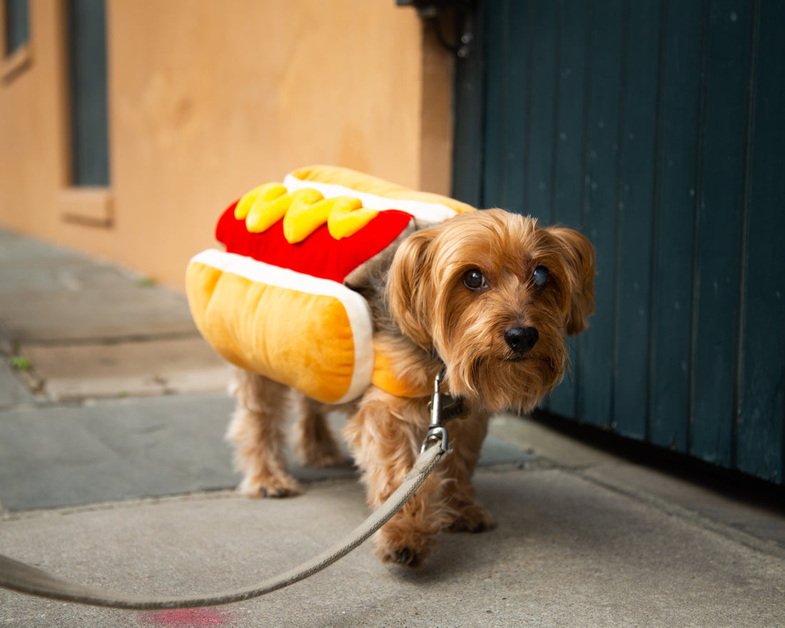 Pet Krewe Hot Dog Costume: Funny Halloween Outfit for Dogs & Cats