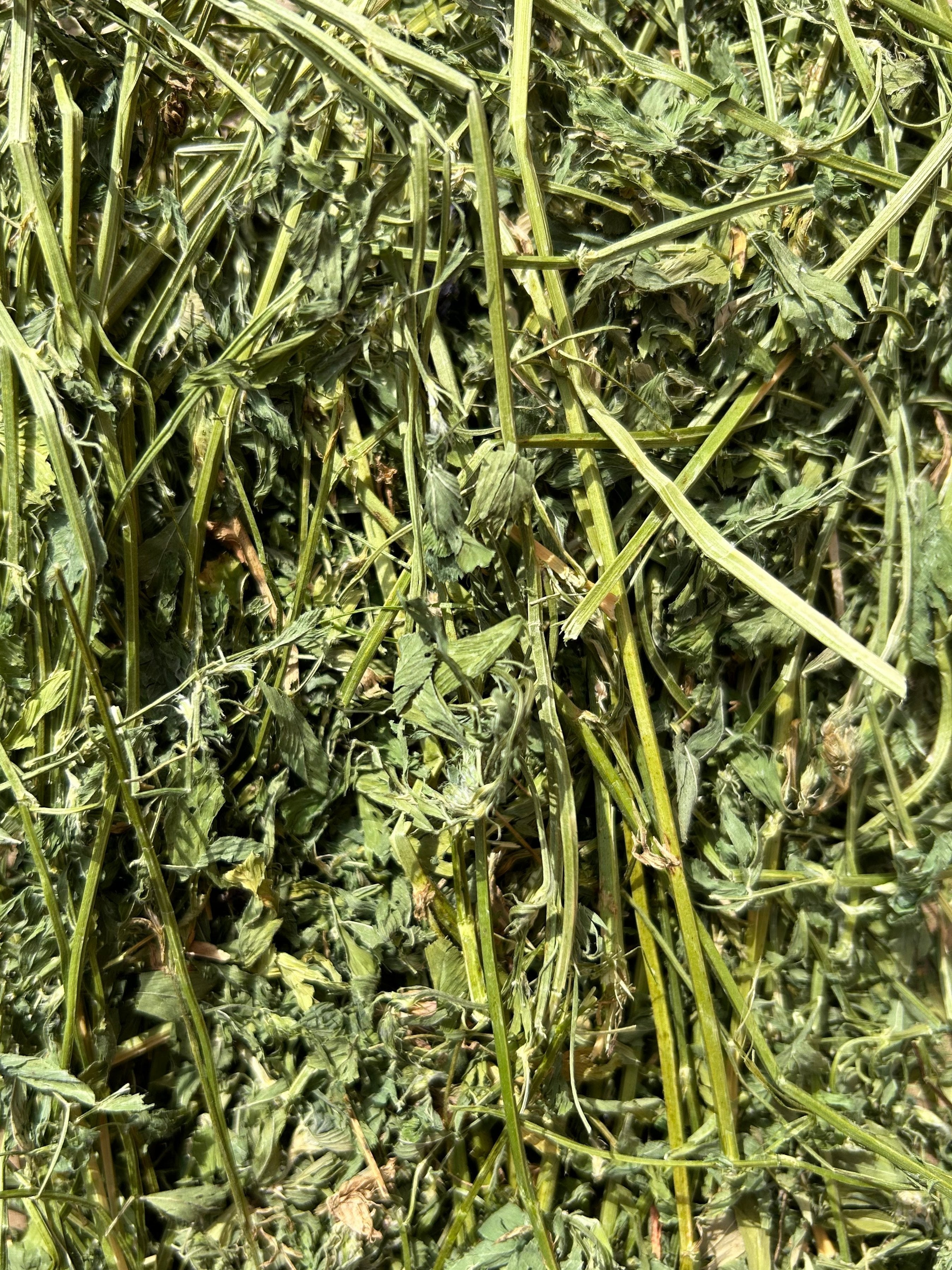 Round Lake Farm Alfalfa Hay