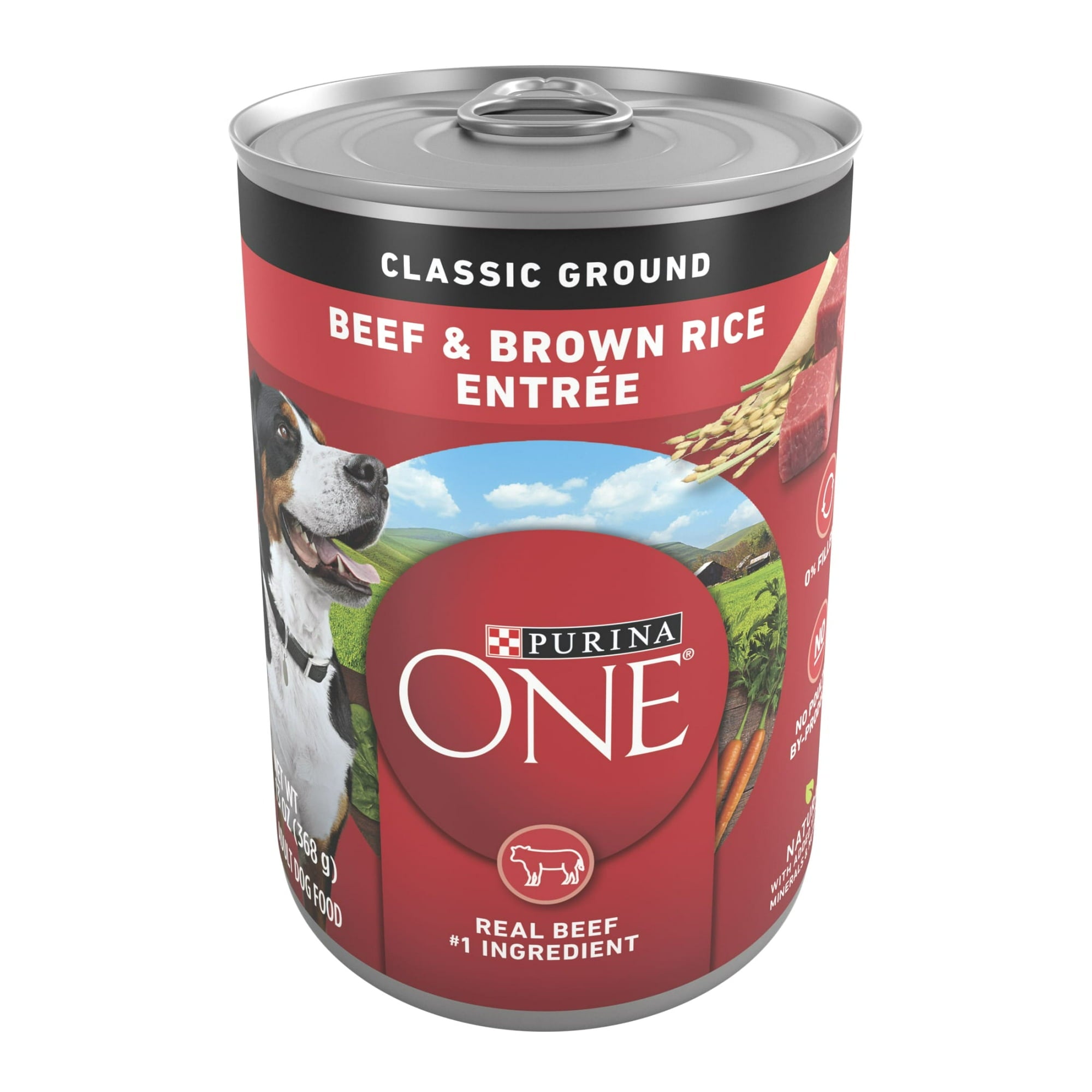 Purina ONE Classic Ground Wet Dog Food for Adults Soft High Protein Beef & Brown Rice